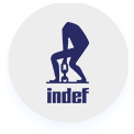 indef - Product Portfolio